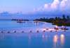 Coco Palm Resort & Spa 